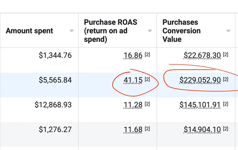 Facebook Instagram Advertising Results