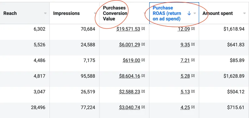 Meta Ads Manager table for a CJ&CO client: six campaigns with purchase ROAS from 4.25 to 12.09, led by $19,571.53 in purchase conversion value from $1,618.94 in spend