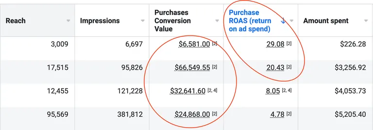 Screenshot of advertising campaigns with between 5 and 29x return on ad spend