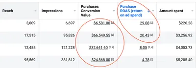 Meta Ads Manager table for a CJ&CO client with purchase ROAS of 29.08 and 20.43, including $66,549.55 in purchase conversion value from $3,256.92 in spend