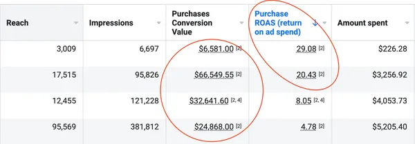 Meta Ads Manager table for a CJ&CO client with purchase ROAS of 29.08 and 20.43, including $66,549.55 in purchase conversion value from $3,256.92 in spend
