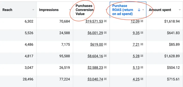 Return On Ad Spend from Social Media Advertising Campaigns