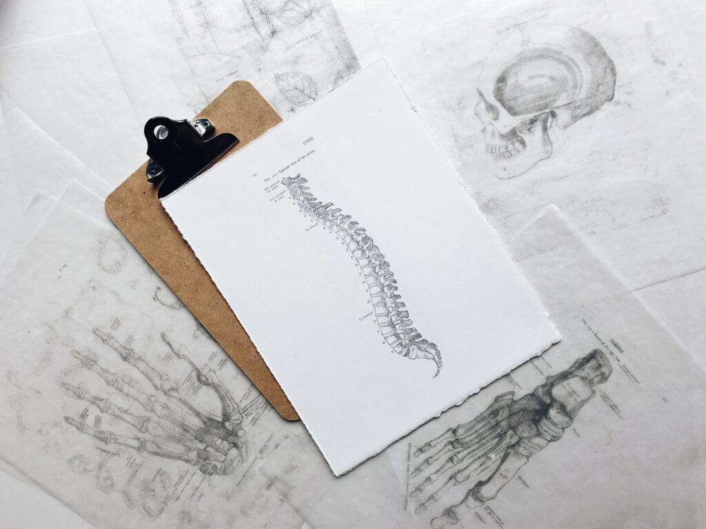 A Drawing Of A Human Skeleton On A Clipboard, Examining The Benefits Of Standing Desks.