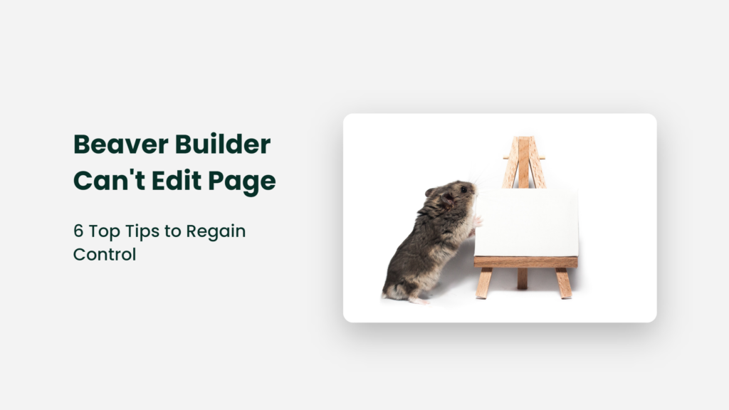 Beaver Builder Can'T Edit Page