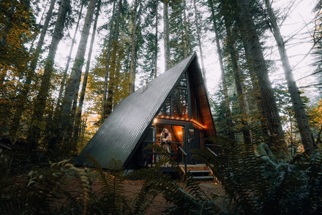 A Game-Changer Airbnb Transformed Travel Experience Awaits In A Cabin Nestled In The Woods, With A Majestic Tree Standing Tall In The Background.