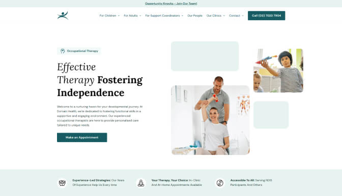 A screenshot of Domain Health website.