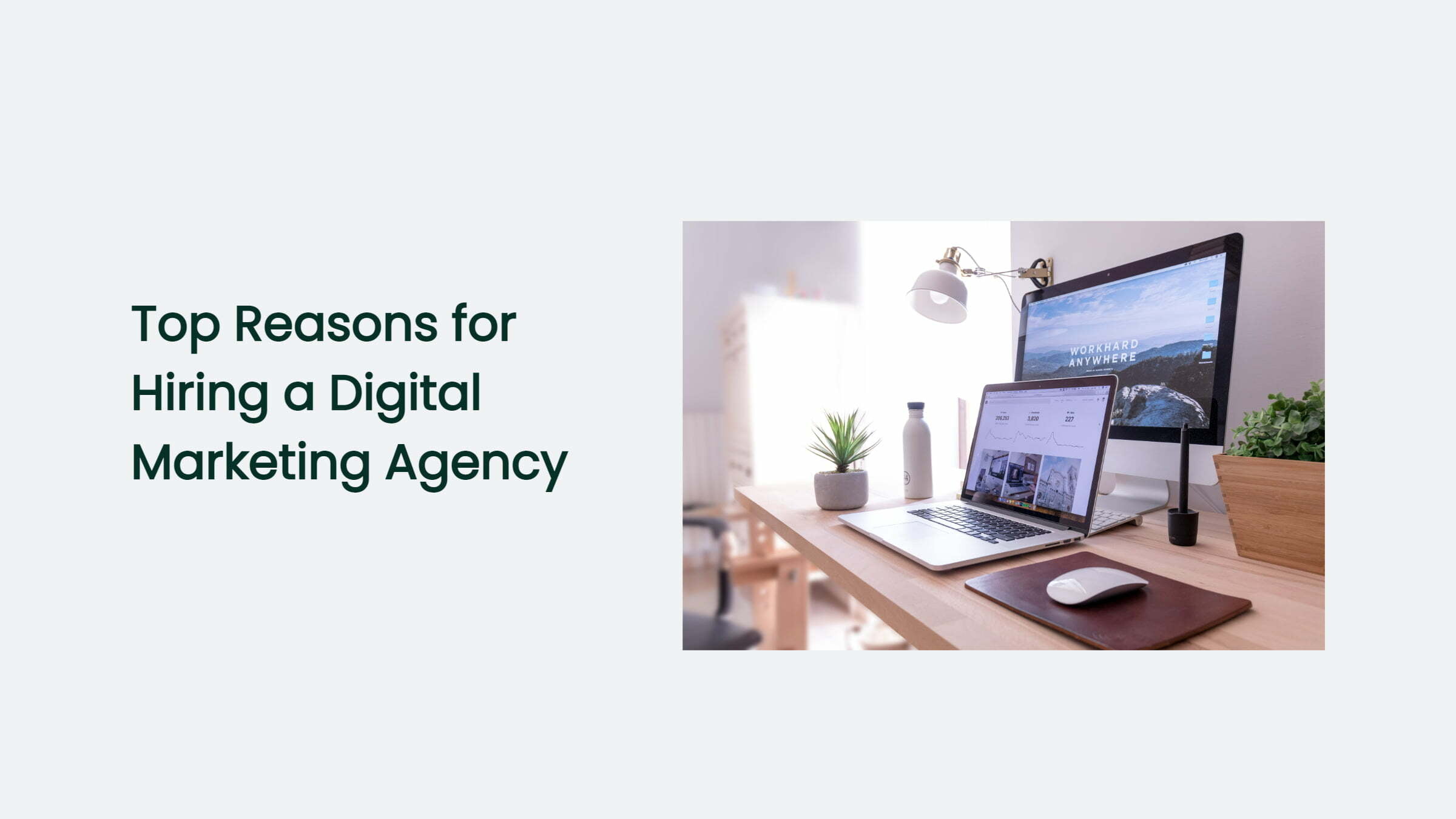 Digital Marketing Agency