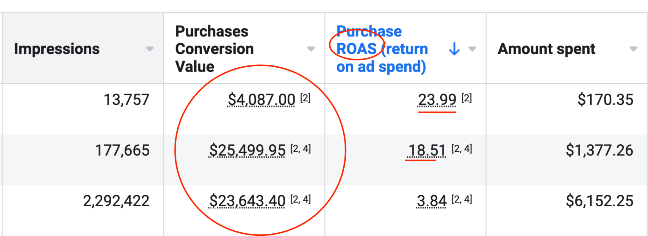 Screenshot of Purchases and ROAS for client who spent $10,000 on Facebook Ads