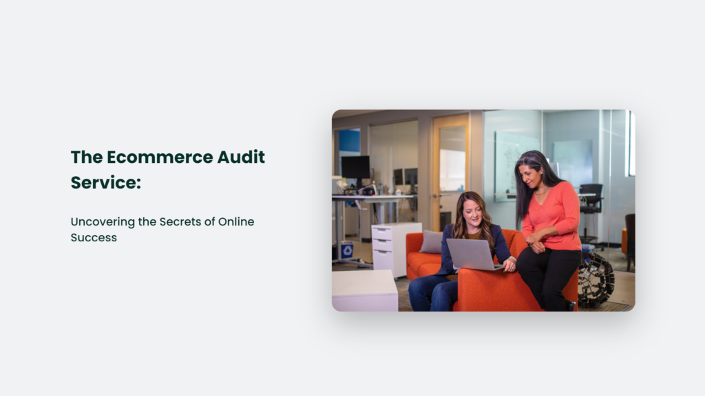 Ecommerce Audit Service