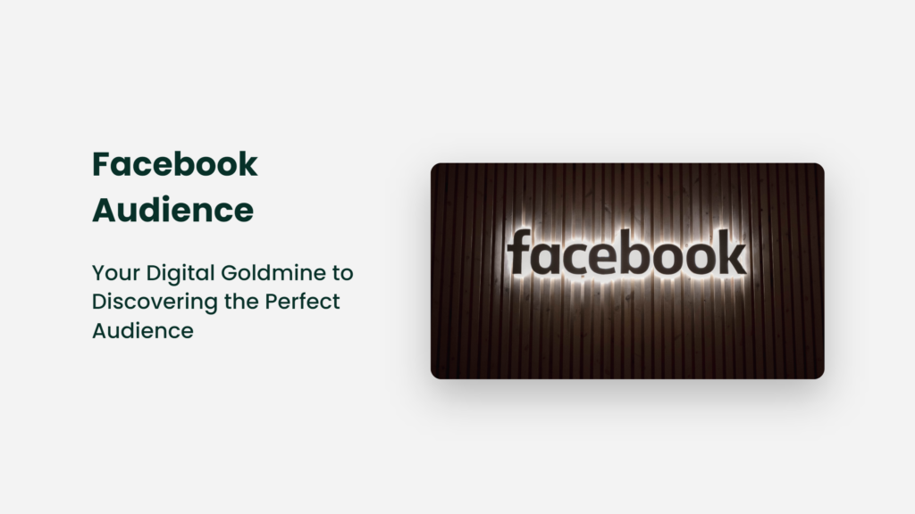 Facebook Audience Your Digital Goldmine To Discovering The Perfect