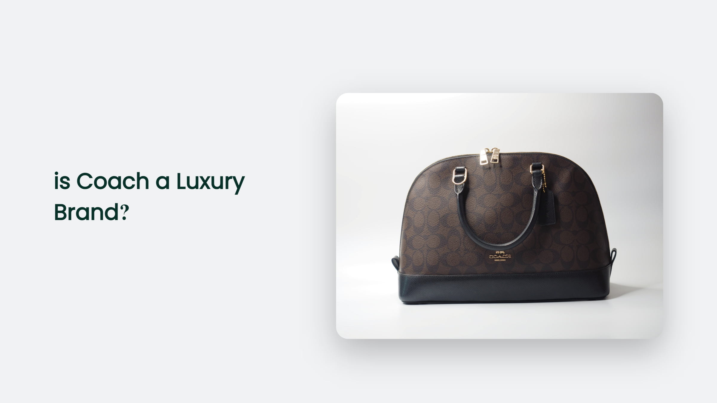 Is Coach A Luxury Brand? The Answer You Needed Is Coach A Luxury Brand