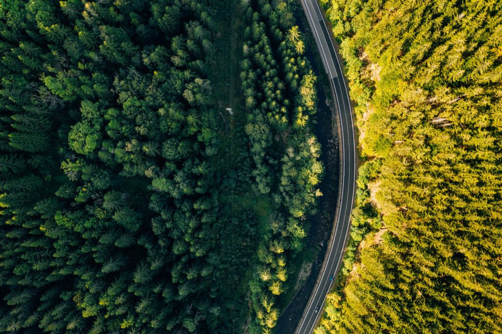 An aerial view of a road in a forest showcasing the revolutionized digital marketing strategies for traffic increase.