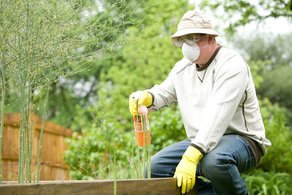 A man using debugging solutions while spraying a plant.
