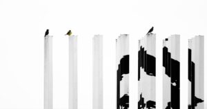A black and white photo of birds perched on industrial poles.