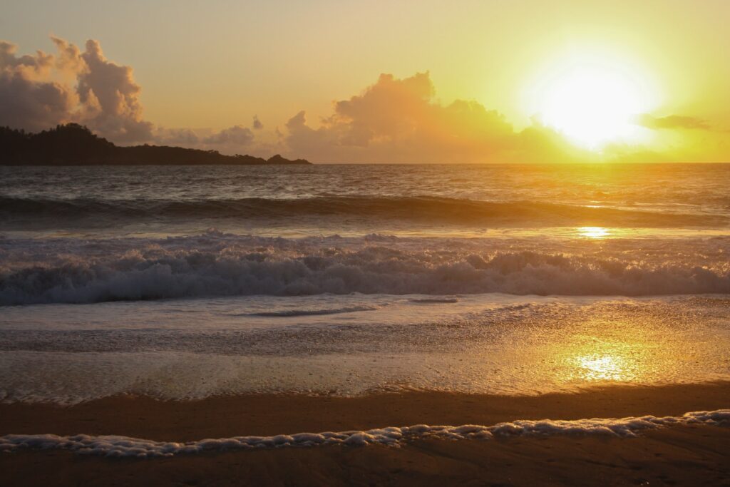 The sun is setting over the ocean, an organic and sustainable solution amidst the challenges of climate change.