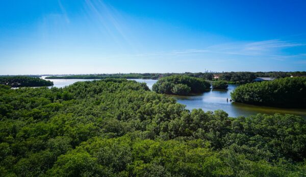 Revolutionizing Picture Restoration: The Power of AI and the Promising DiffBIR Approach