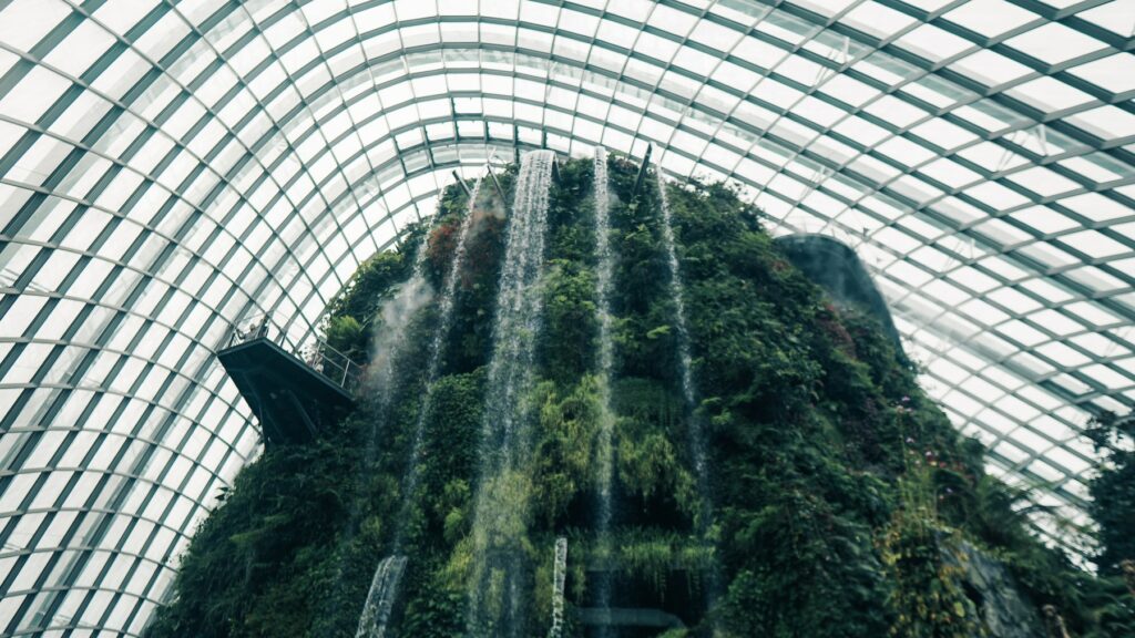 Gardens by the bay, Singapore: Exploring Zao, a popular AI-driven face-swapping app.