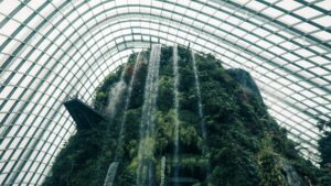 Gardens by the bay, Singapore: Exploring Zao, a popular AI-driven face-swapping app.