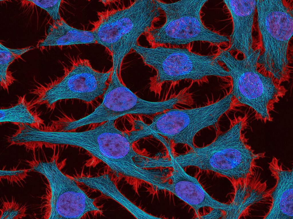 A cell with different colored cells on a dark background.