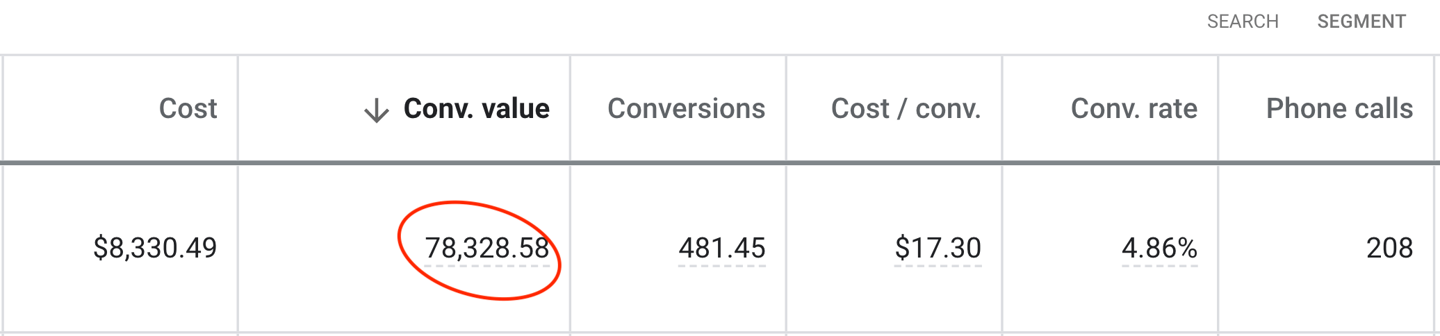$80,000 Google Ad Results