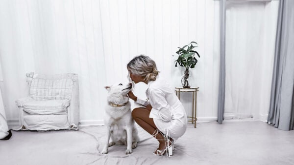 The Impact of Reviews and Ratings on Pet Brand Success