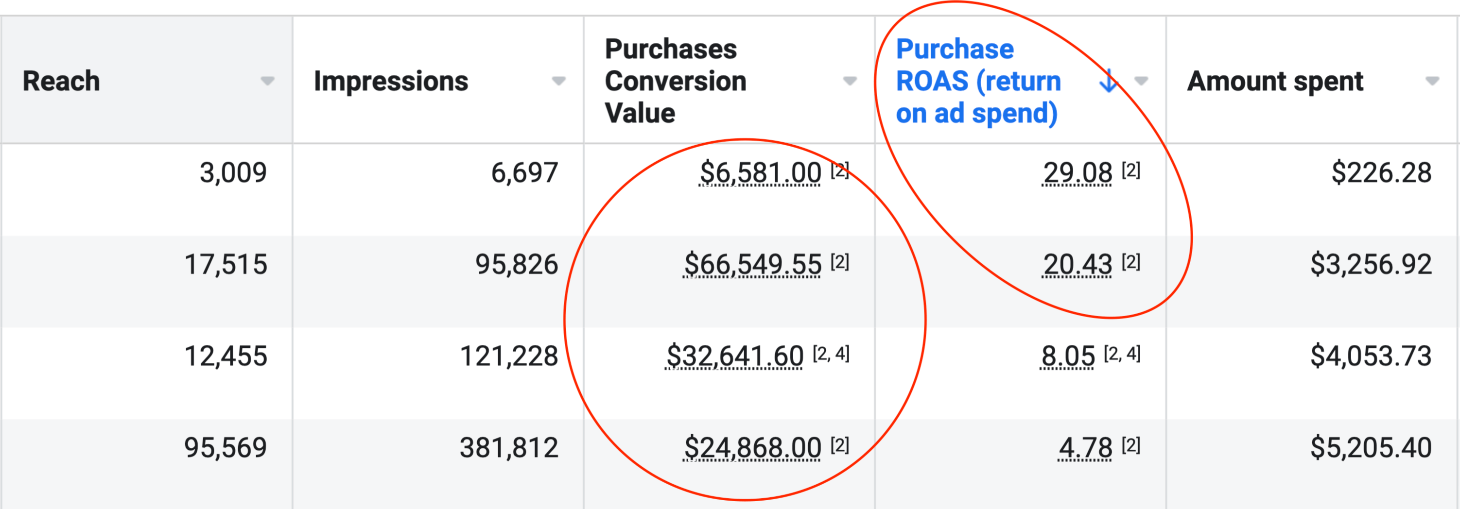 Screenshot of advertising campaigns with between 5 and 29x return on ad spend