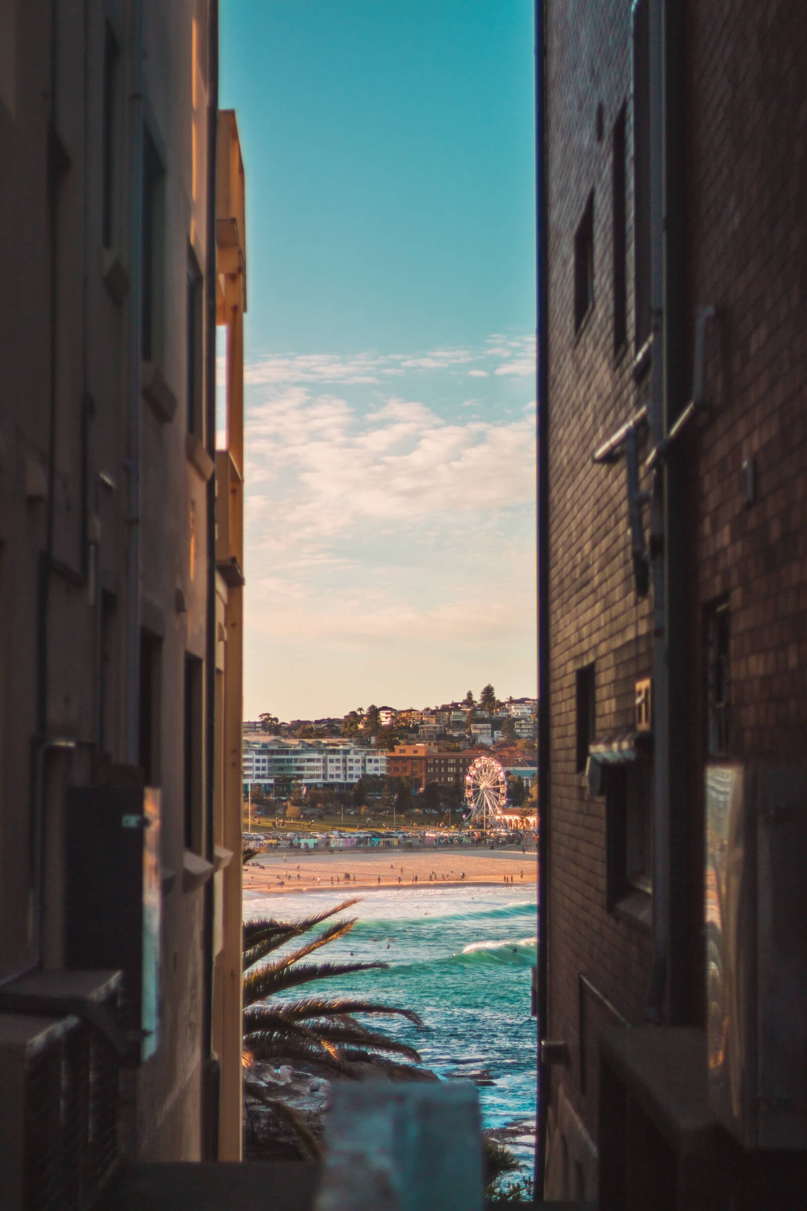 Photo overlooking Sydney Businesses