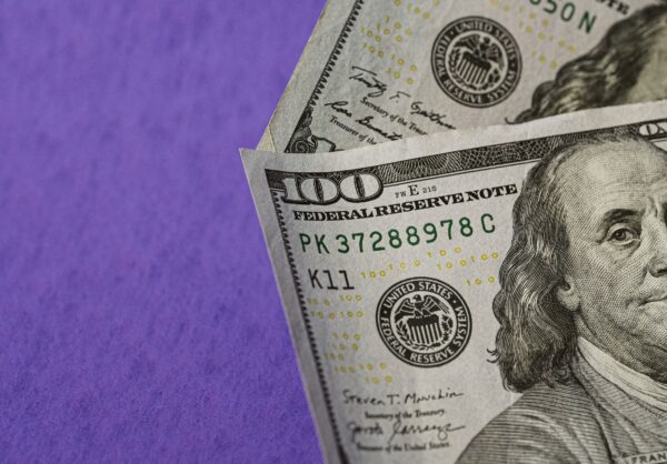 What is Fund Management: A Journey Through the Financial Jungle